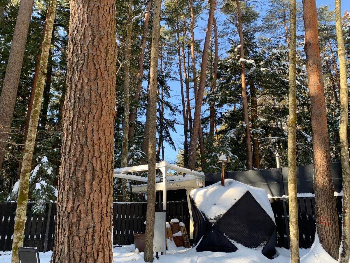 Villa Fuji Fumoto Forest Hotspring ふもとの森温泉